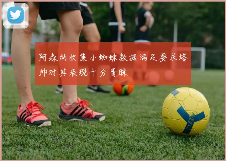 阿森纳收集小蜘蛛数据满足要求塔帅对其表现十分青睐